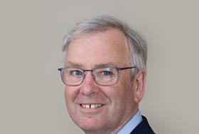 Consultant to lead large STP